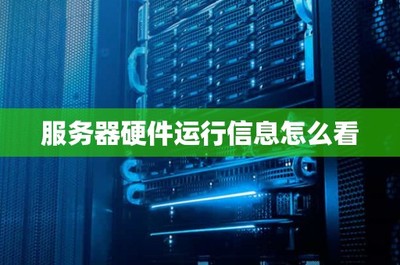 如何查看服务器硬件运行信息 信息系统运行维护服务的关键步骤